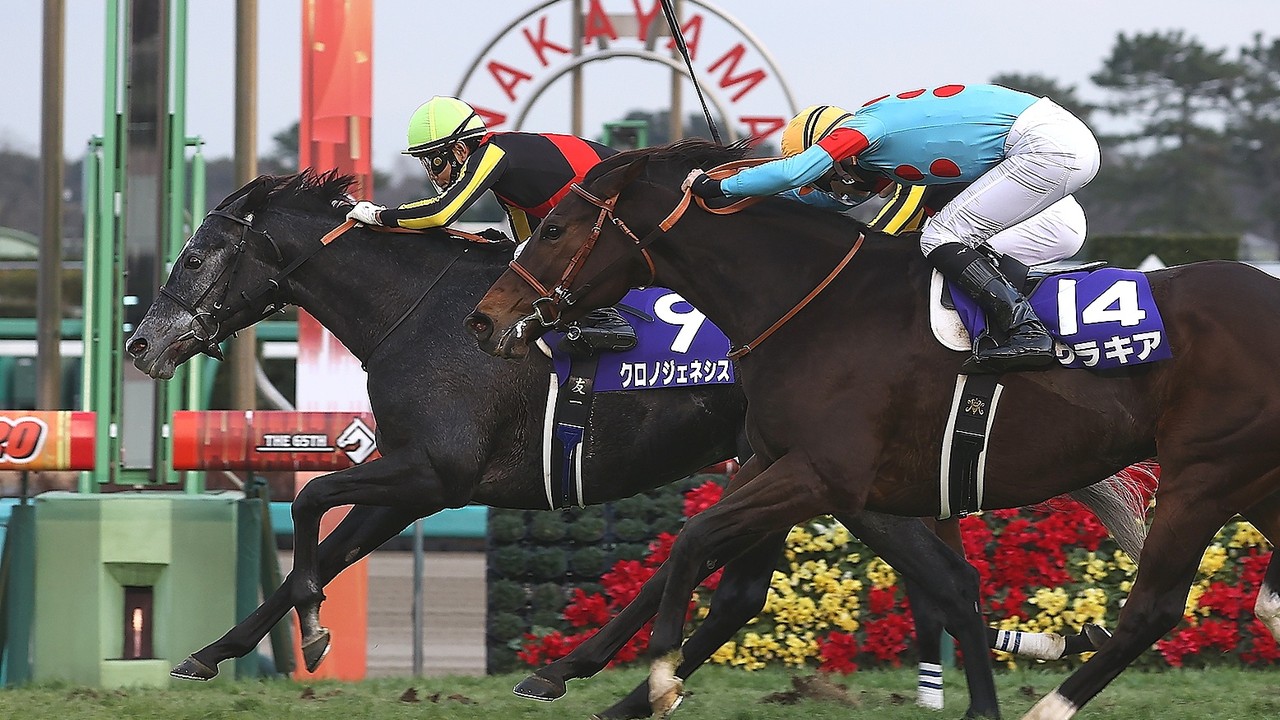 Stage Is Set For Historic 25th Dubai World Cup Image 4